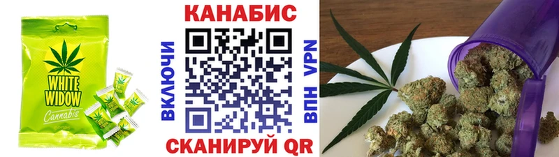 Canna-Cookies конопля  Купить где  Салаир 