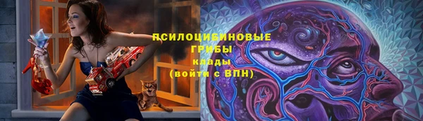гашик Горно-Алтайск